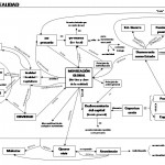 La Realidad: Mapa conceptual del "Breve tratado para atacar la realidad" (López Petit)